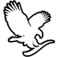 Forever Living Logo auf transparentem Hintergrund